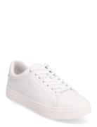 Clean Cupsole Lace Up Matalavartiset Sneakerit Tennarit White Calvin K...