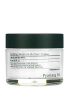 Calming Moisture Barrier Cream Päivävoide Kasvovoide Nude Pyunkang Yul