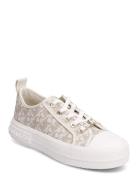 Evy Lace Up Matalavartiset Sneakerit Tennarit Cream Michael Kors