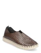 Flats Tennarit Sneakerit Brown Ilse Jacobsen