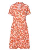 Edasz Ss Dress Polvipituinen Mekko Orange Saint Tropez