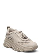 Possession-E Matalavartiset Sneakerit Tennarit Beige Steve Madden