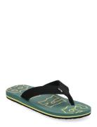 All Day Theme Flipflopit Rantasandaalit Sandaalit Green Billabong