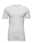 Jbs T-Shirt Classic. Tops T-shirts Short-sleeved White JBS