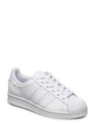 Superstar J Sport Sneakers Low-top Sneakers White Adidas Originals