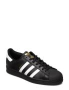 Superstar Sport Sneakers Low-top Sneakers Black Adidas Originals