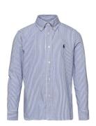 Slim Striped Oxford Shirt Tops Shirts Long-sleeved Shirts Blue Ralph L...