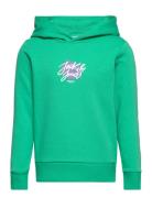 Jorsergey Sweat Hood Fst Jnr Tops Sweat-shirts & Hoodies Hoodies Green...