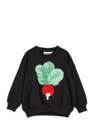 Radish Chenille Emb Sweatshirt Tops Sweat-shirts & Hoodies Sweat-shirt...