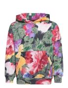 Matt Tops Sweat-shirts & Hoodies Hoodies Multi/patterned Molo