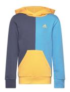 Essentials Colorblock Hoodie Kids Sport Sweat-shirts & Hoodies Hoodies...