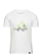 Girls Train Tee Sport T-shirts Short-sleeved White Adidas Performance