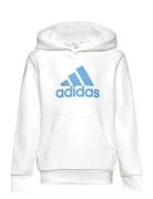 Big Logo Essentials Cotton Hoodie Sport Sweat-shirts & Hoodies Hoodies...