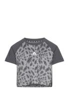 Jg Aop Tee Sport T-shirts Short-sleeved Grey Adidas Performance