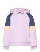 Hmlelly Hoodie Sport Sweat-shirts & Hoodies Hoodies Purple Hummel