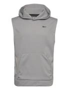 Strength Slvls Hoodi Sport Sweat-shirts & Hoodies Hoodies Grey Reebok ...