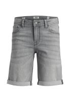 Jjirick Jjioriginal Shorts Mf 926 Sn Mni Bottoms Shorts Grey Jack & J ...