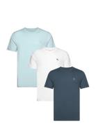 Anf Mens Knits Tops T-shirts Short-sleeved Blue Abercrombie & Fitch