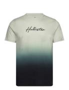 Hco. Guys Graphics Tops T-shirts Short-sleeved Green Hollister