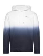 Hco. Guys Sweatshirts Tops Sweat-shirts & Hoodies Hoodies White Hollis...