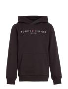 Essential Hoodie Tops Sweat-shirts & Hoodies Hoodies Black Tommy Hilfi...