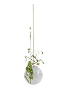 Hanging Flower Bubble Home Decoration Vases Nude Studio About