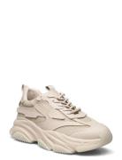 Possess Sneaker Matalavartiset Sneakerit Tennarit Beige Steve Madden