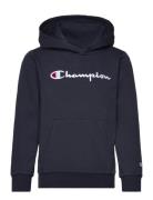 Hooded Sweatshirt Sport Sweat-shirts & Hoodies Hoodies Navy Champion