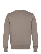 Lightweight Cotton Sweatshirt Tops Sweat-shirts & Hoodies Sweat-shirts...