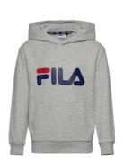 Baj Sport Sweat-shirts & Hoodies Hoodies Grey FILA