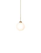 Apiales 1 Large Home Lighting Lamps Ceiling Lamps Pendant Lamps Gold N...