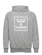 Hmlisam 2.0 Hoodie Sport Sweat-shirts & Hoodies Hoodies Grey Hummel