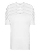 4Pk Basic Tee S/S Tops T-shirts Short-sleeved White Lindbergh