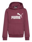 Ess Logo Hoodie Fl G Sport Sweat-shirts & Hoodies Hoodies Burgundy PUM...