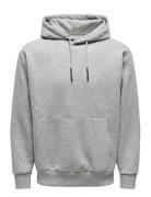 Onsceres Hoodie Sweat Noos Tops Sweat-shirts & Hoodies Hoodies Grey ON...