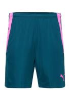 Teamliga Training Shorts 2 Sport Shorts Sport Shorts Blue PUMA