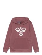 Hmlcuatro Hoodie Sport Sweat-shirts & Hoodies Hoodies Burgundy Hummel