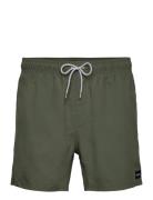 Offset Volley Uimashortsit Green Rip Curl