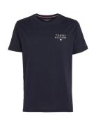 Cn Ss Tee Logo Tops T-shirts Short-sleeved Navy Tommy Hilfiger