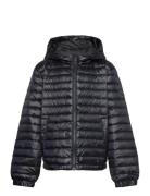 Shiny Light Padded Down Jacket Toppatakki Black GANT