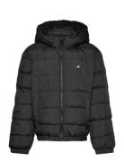 Shield Padded Jacket Toppatakki Black GANT