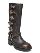 Battle Boot Shoes Boots Ankle Boots Ankle Boots Flat Heel Brown Steve ...