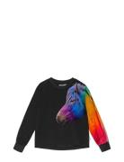 Reniza Tops T-shirts Long-sleeved T-shirts Black Molo