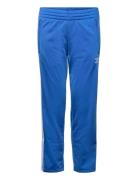 Firebird Pants Sport Sweatpants Blue Adidas Originals