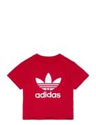 Trefoil Tee Sport T-shirts Short-sleeved Red Adidas Originals