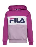 Bagana Blocked Hoody Sport Sweat-shirts & Hoodies Hoodies Pink FILA