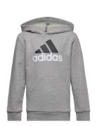 U Bl 2 Hoodie Tops Sweat-shirts & Hoodies Hoodies Grey Adidas Sportswe...