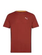 Run Favorite Velocity Tee Sport T-shirts Short-sleeved Burgundy PUMA