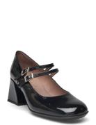 Elisita Shoes Heels Pumps Classic Black Wonders