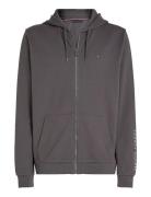 Fz Hoodie Tops Sweat-shirts & Hoodies Hoodies Grey Tommy Hilfiger